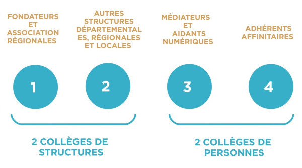 schéma représentant les différents collèges