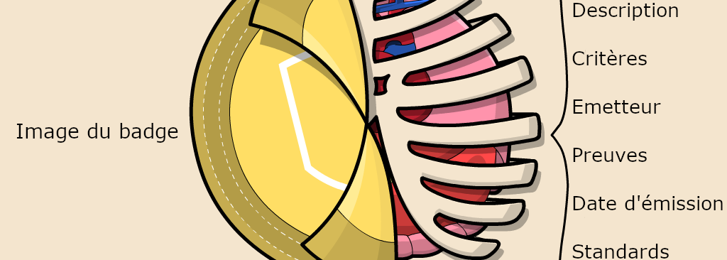 Image d'un badge ouvert où sont listés les termes suivants : description, critères, émetteur, preuves, date d'émission, standards