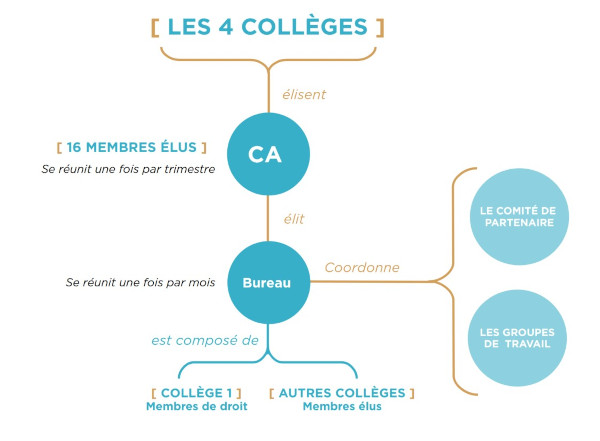 schéma de fonctionnement interne de la gouvernance